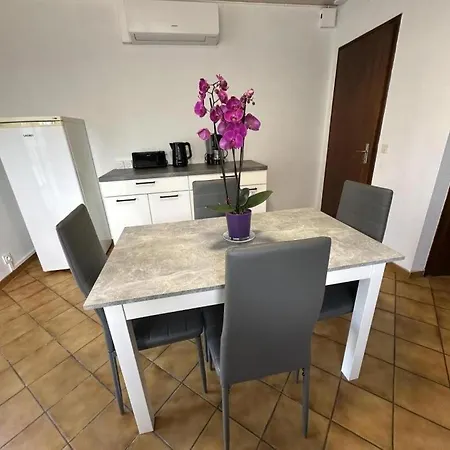 Jean De Nasse كاستيتس